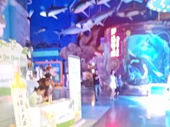 -烟台海昌鲸鲨海洋公园