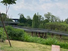 -白鹭湾湿地公园