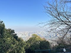 -大蜀山国家森林公园