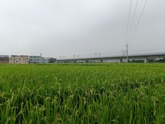 -板梁古村