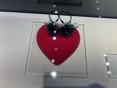 -BLACKSWAN黑天鹅(环球店)