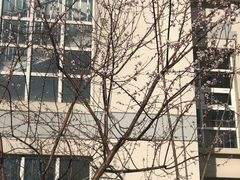 -天津市育贤中学