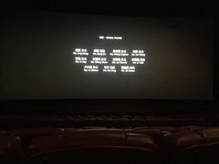 -卢米埃影城(长楹天街IMAX激光店)