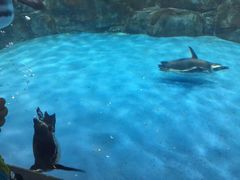 金鹰海洋世界-常州海昌海洋探索馆