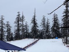 -瓦屋山景区