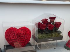 -ROSEONLY诺誓(广州K11店)