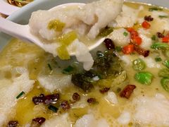 捞汁西葫芦-有家生煎(三里屯店)