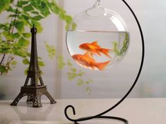 -邻舍私房菜(渊明北路店)