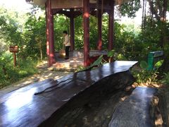 -龙山酒店温泉