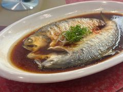 红蒸鲜鲥鱼-名豪品鲜荟(云亭店)