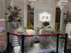 -新兴家喻酒家·羊城名宴(昌岗店)