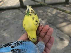 -成都欢乐谷