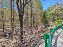 -白水寺森林公园