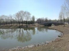 -东郊湿地公园