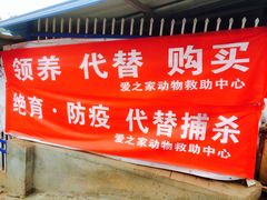 -成都爱之家动物救助中心