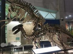 -湖南省地质博物馆