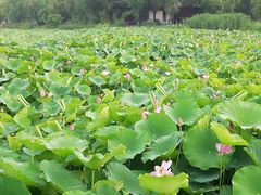 -云龙湖旅游景区