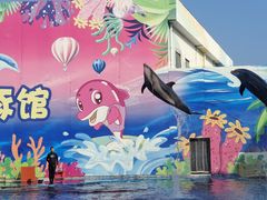 -北戴河圣蓝海洋公园