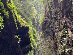 -阿依河景区