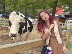 -神户市立六甲山牧场