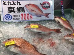 -海鮮寿司とれとれ市場