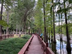 -尚湖风景区