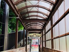 -岚山嵯峨野观光小火车