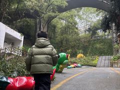 -南山植物园