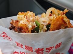 -半月镰胡姐脆皮萝卜饺子