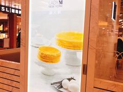 -Lady M(沙田新城市广场店)