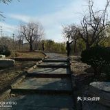 人们也是不惧寒冬，在这金色的花园里