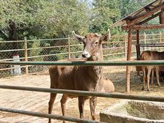 -青藏高原野生动物园