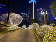-丽晶轩中餐厅(重庆丽晶酒店)