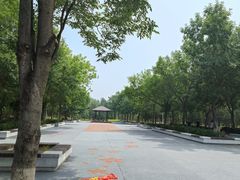 -绿堤公园