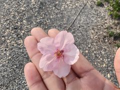 -云幽谷旅游区