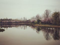 -白鹭湾湿地公园