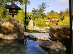 -汤泊温泉度假村