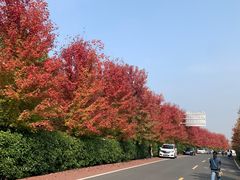 -南京枫彩漫城
