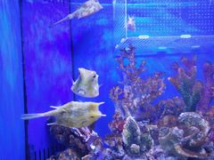 -多彩贵州城极地海洋世界