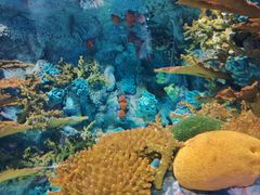 -上海海洋水族馆