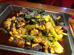 -馋火炉鱼(新世界百货望京店)