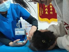 -宠福鑫动物医院(望京分院)