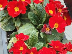 -小城故事·地道宁波味(月湖盛园店)