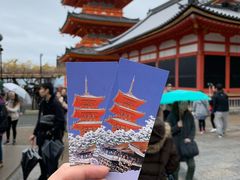 -有栖山 清光院 清水寺