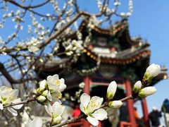 -颐和园