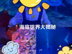 -多彩贵州城极地海洋世界