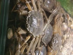 -福州西湖大酒店·怡湖咖啡厅