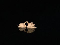 -布劳伽斯特豪夫哈尔施塔特宾馆