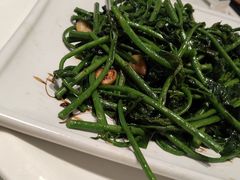 -有心德(麦地店)