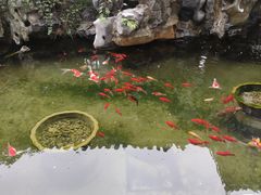 -香雪海饭店中餐厅(人民桥店)